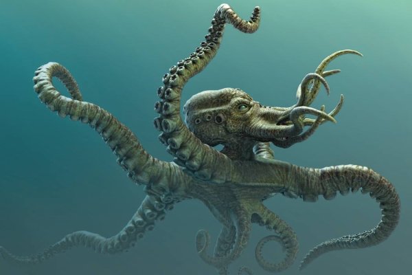 Kraken dark net