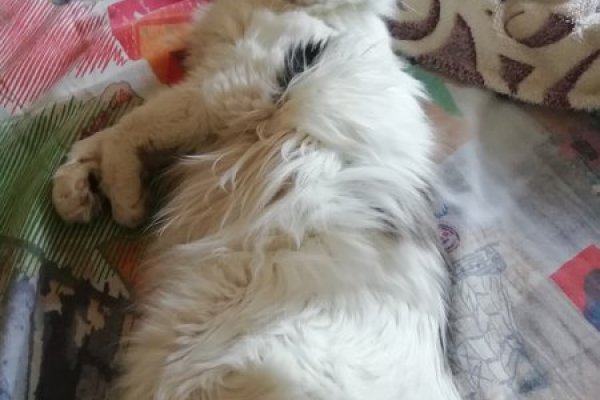 Не могу зайти на сайт кракен