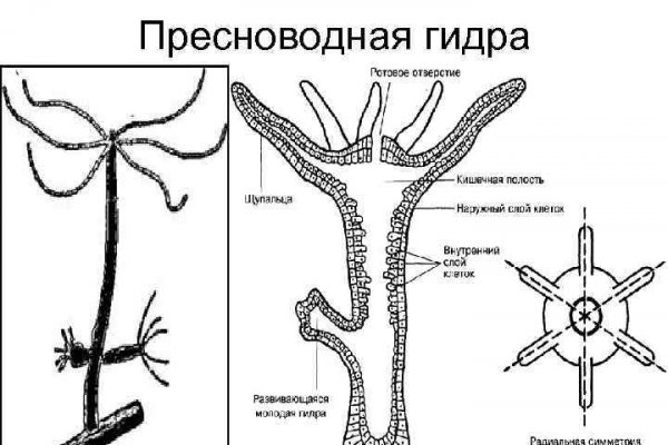 Кракен кз