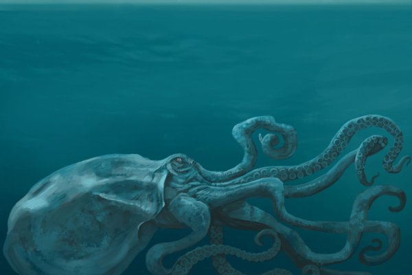 Kraken ссылка официальная